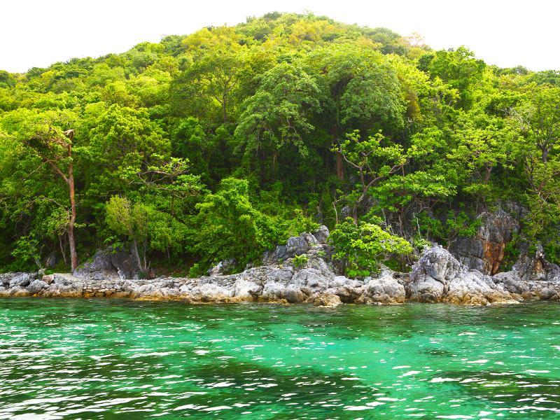 Flower Island Resort ไตไต ภายนอก รูปภาพ